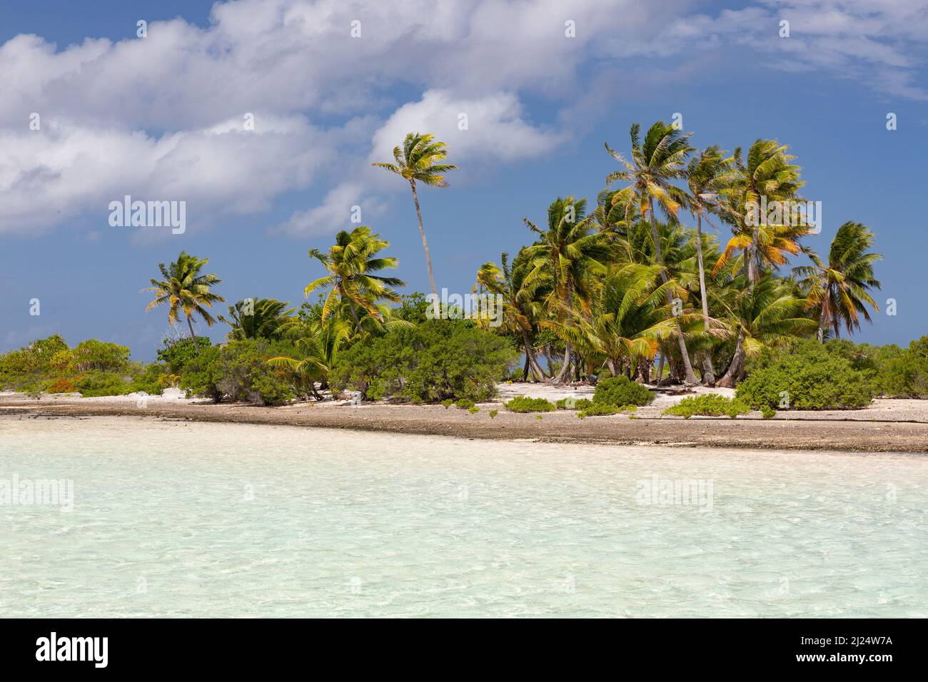 L'île tropicale déserte Banque D'Images
