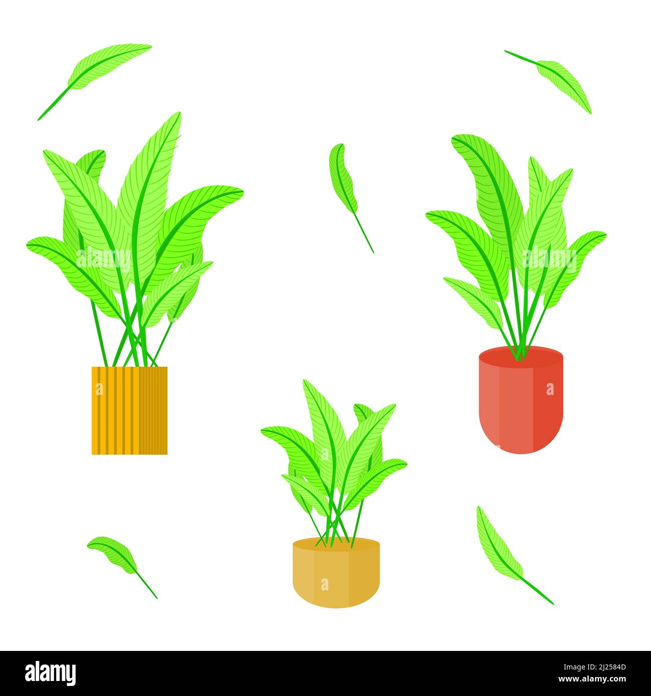 Groupe de la biologie des pots de feuilles de plantes nature ornementale pour l'illustration vectorielle décorative Illustration de Vecteur