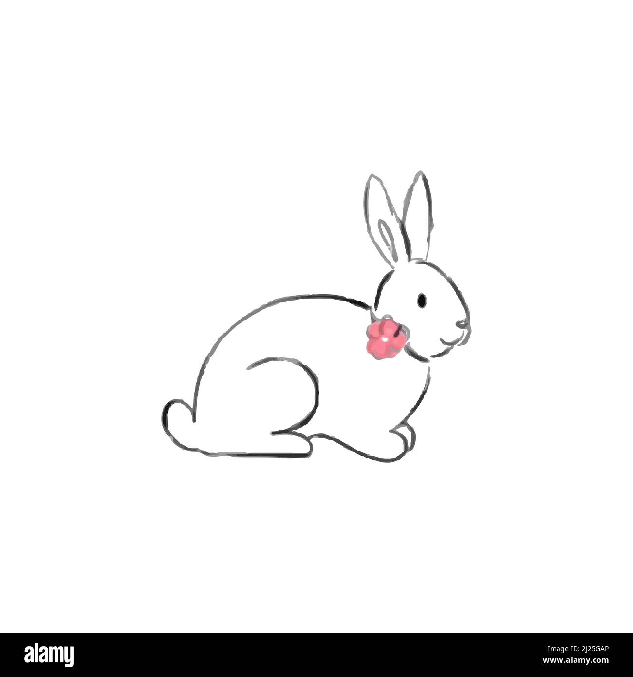 Image vectorielle d'un lapin sur fond blanc. Illustration de Vecteur