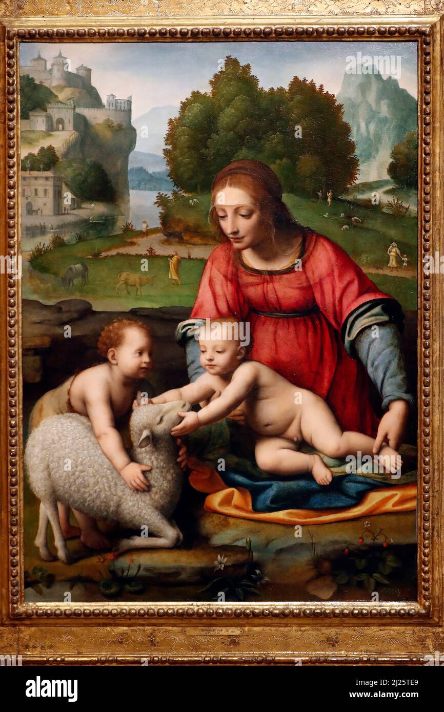 Musée Thyssen-Bornemisza. La Vierge et l'enfant avec le bébé Saint Jean le Baptiste. 1523. Banque D'Images