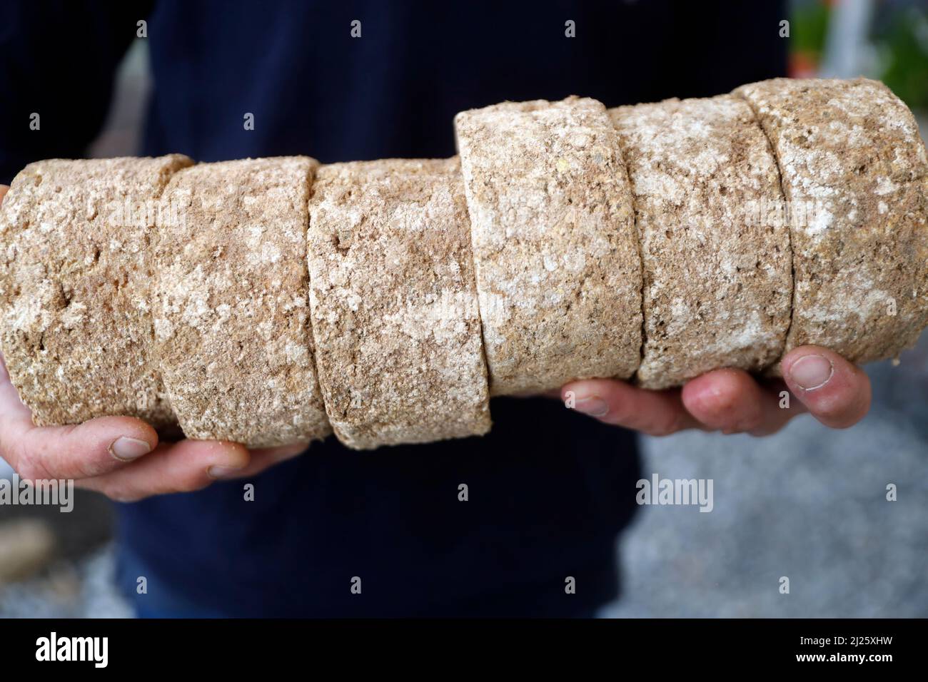 Fromage français traditionnel : Tomme de Savoie. Fromage de montagne. Banque D'Images