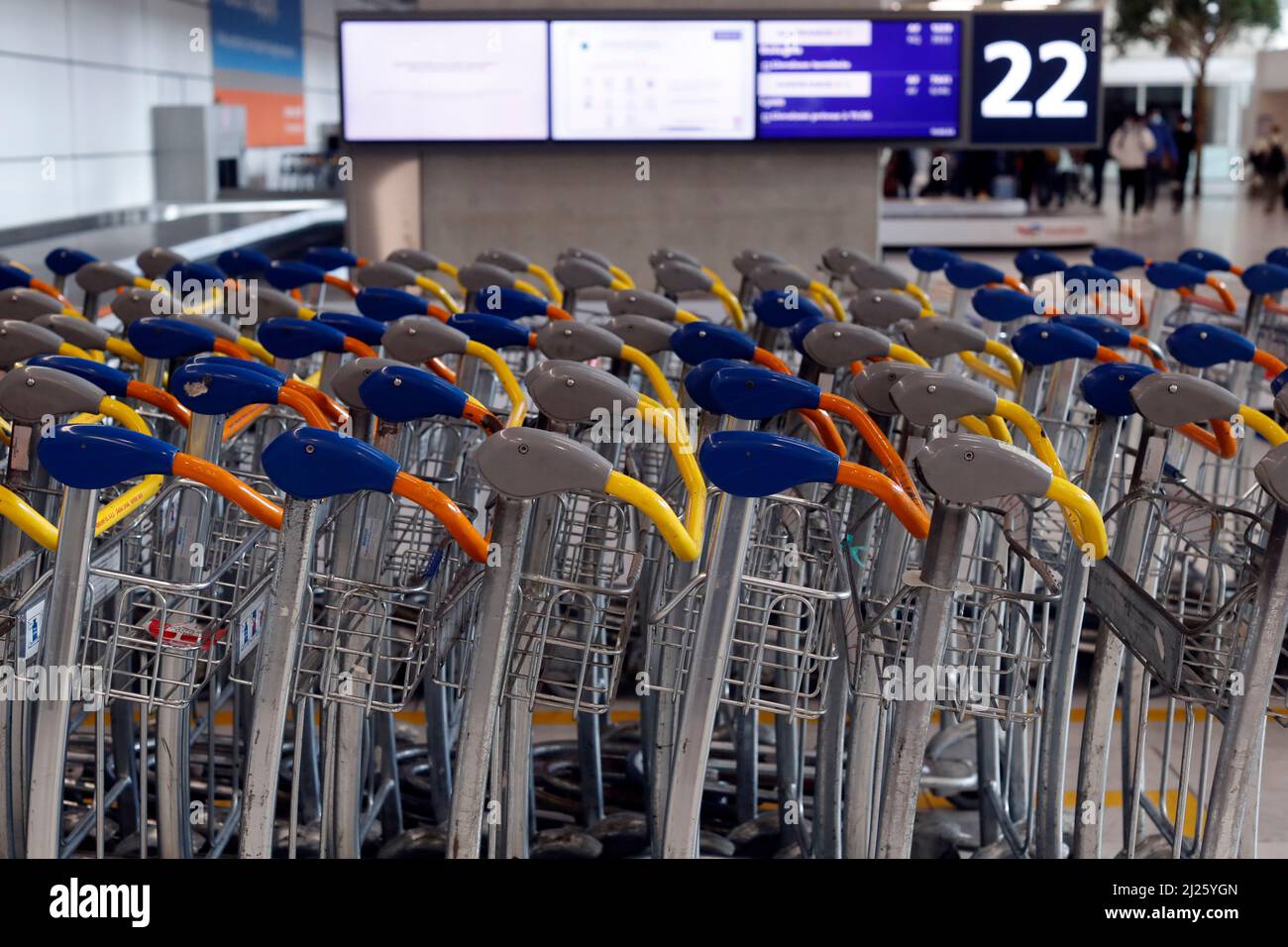 Aéroport Charles de Gaulle. Chariots à bagages dans la zone des arrivées. Banque D'Images