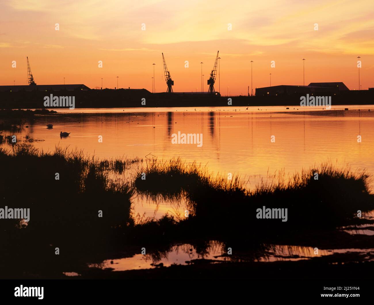 Réserve naturelle de Wetlands à Dawn, baie de Cardiff, pays de Galles, Royaume-Uni Banque D'Images