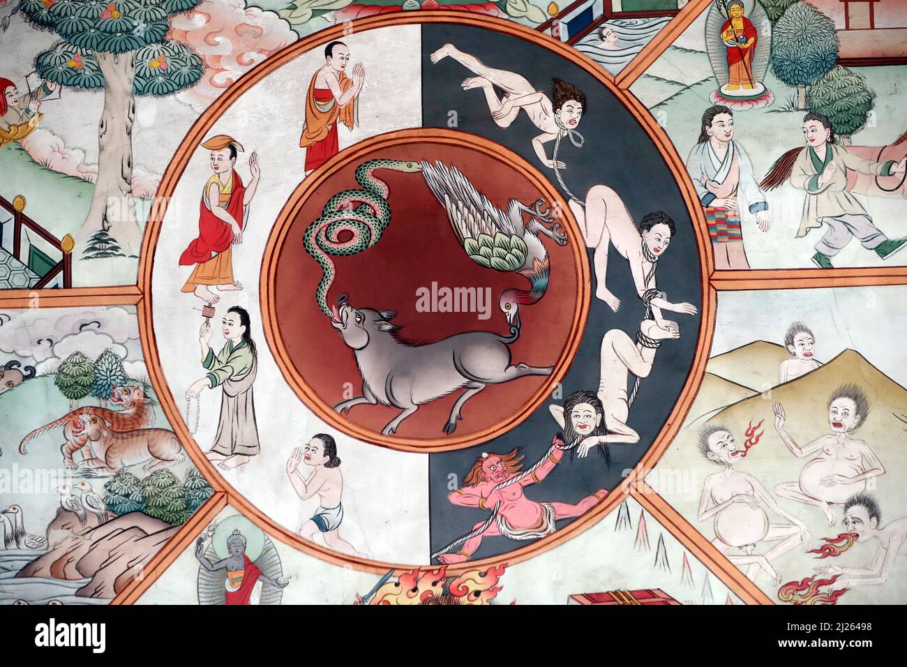 Monastère de Pema Osel Ling. La roue de la vie ou le bhavacakra est une représentation symbolique de saṃsara. Le cochon, le coq et le serpent représentent le thr Banque D'Images