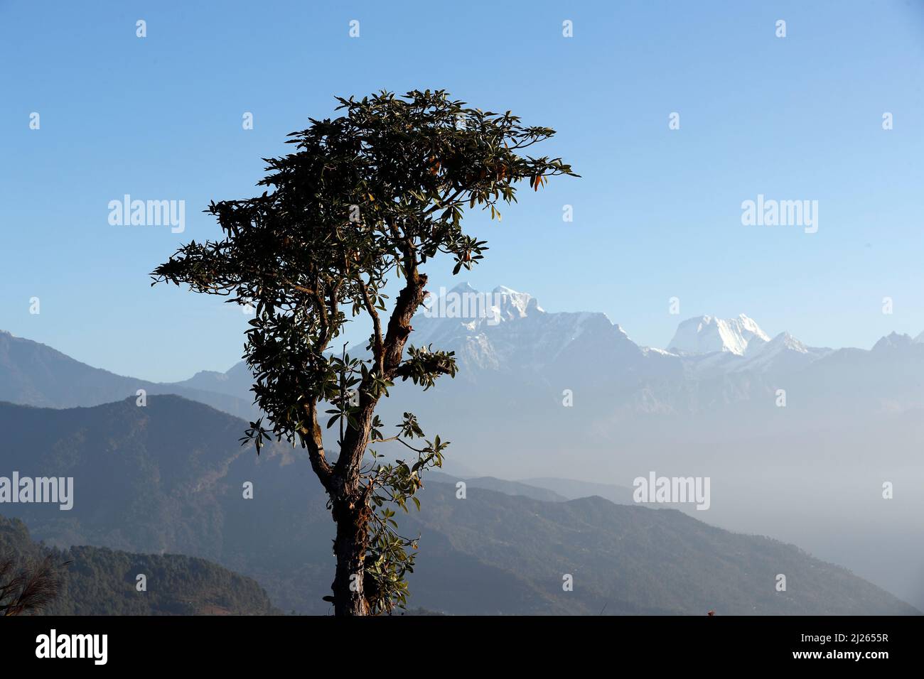 Gaurishankhar montagne vue de Charikot. Paysage de l'Himalaya. Banque D'Images