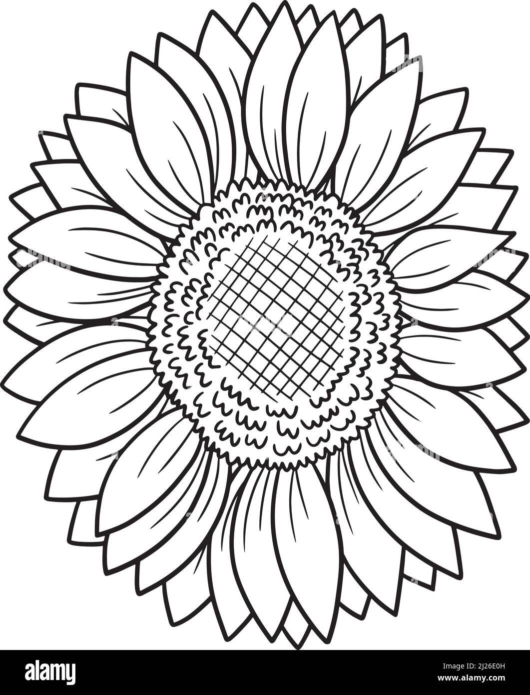 Page de coloriage pour tournesol pour adultes Image Vectorielle Stock