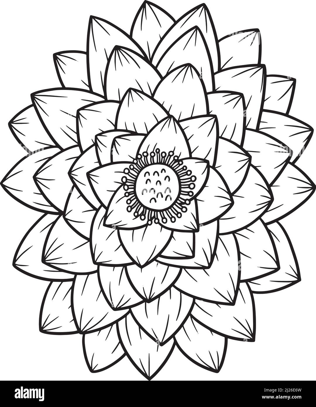 Page de coloriage Lotus pour adultes Illustration de Vecteur