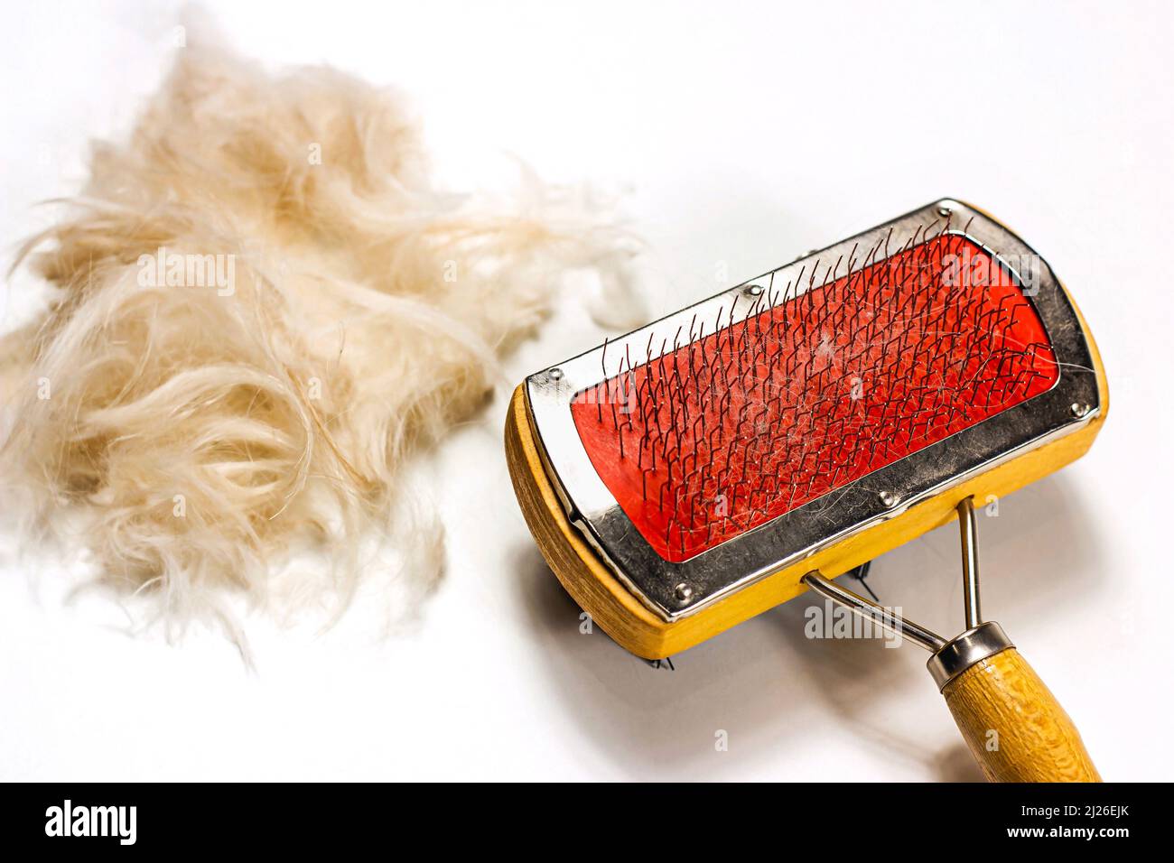 Brosse pour animaux pour le toilettage de chiens et de chats avec fourrure sur fond de table clair. Banque D'Images