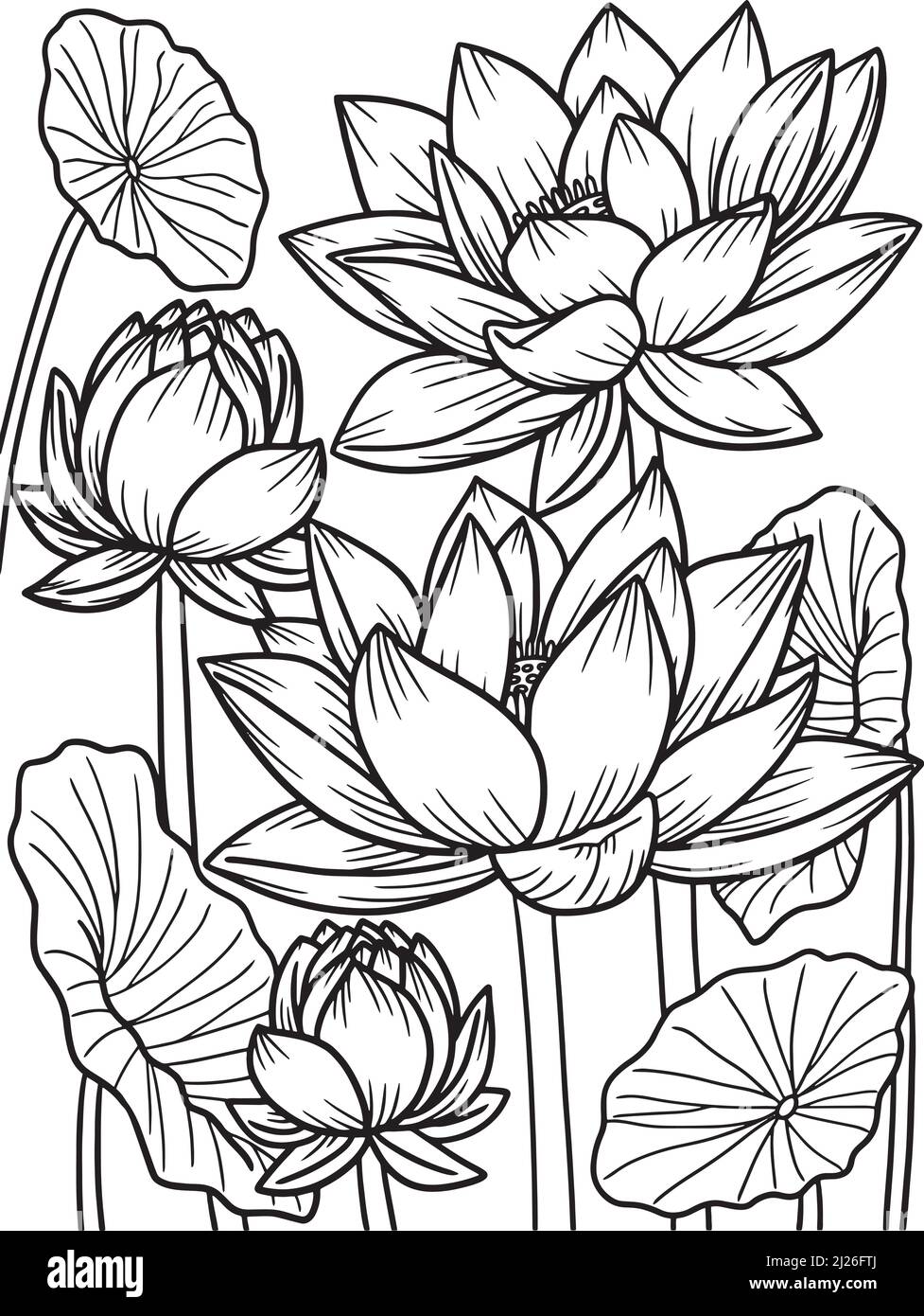 Page de coloriage Lotus Flower pour adultes Illustration de Vecteur