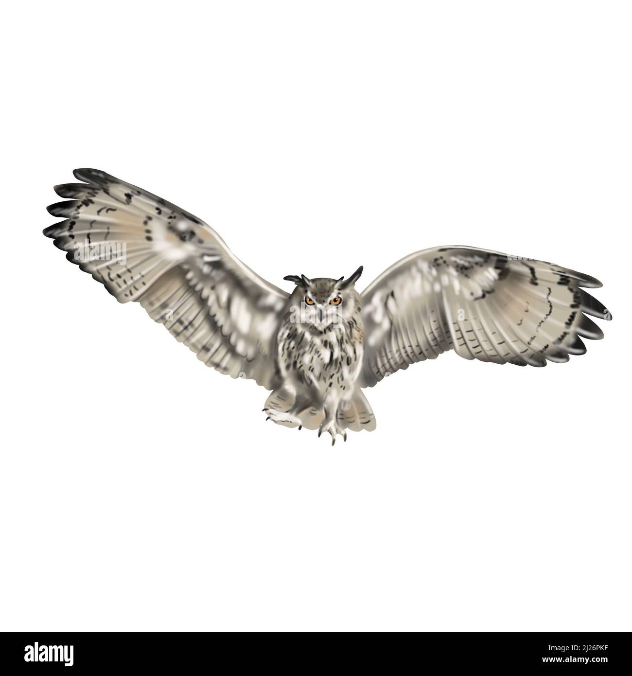 Aquarelle illustration d'un hibou. Un fracas volant. Famille Owl. Bubo Bubo Banque D'Images