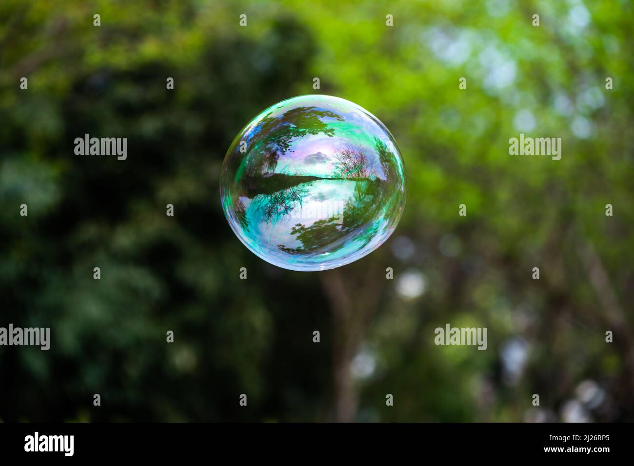 Bulle de savon flottant avec des arbres en arrière-plan Banque D'Images