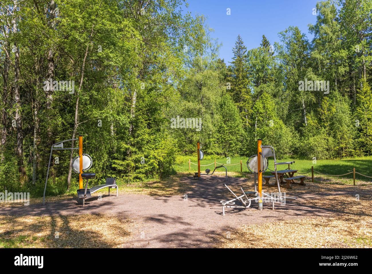 Salle de sport en plein air avec appareils d'exercice dans une forêt de glades Banque D'Images