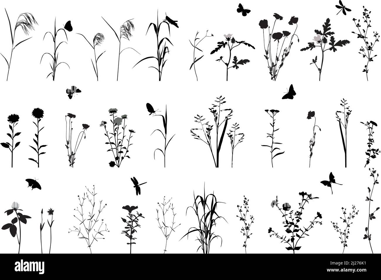 Collection de silhouettes de fleurs, de graminées et d'insectes Illustration de Vecteur
