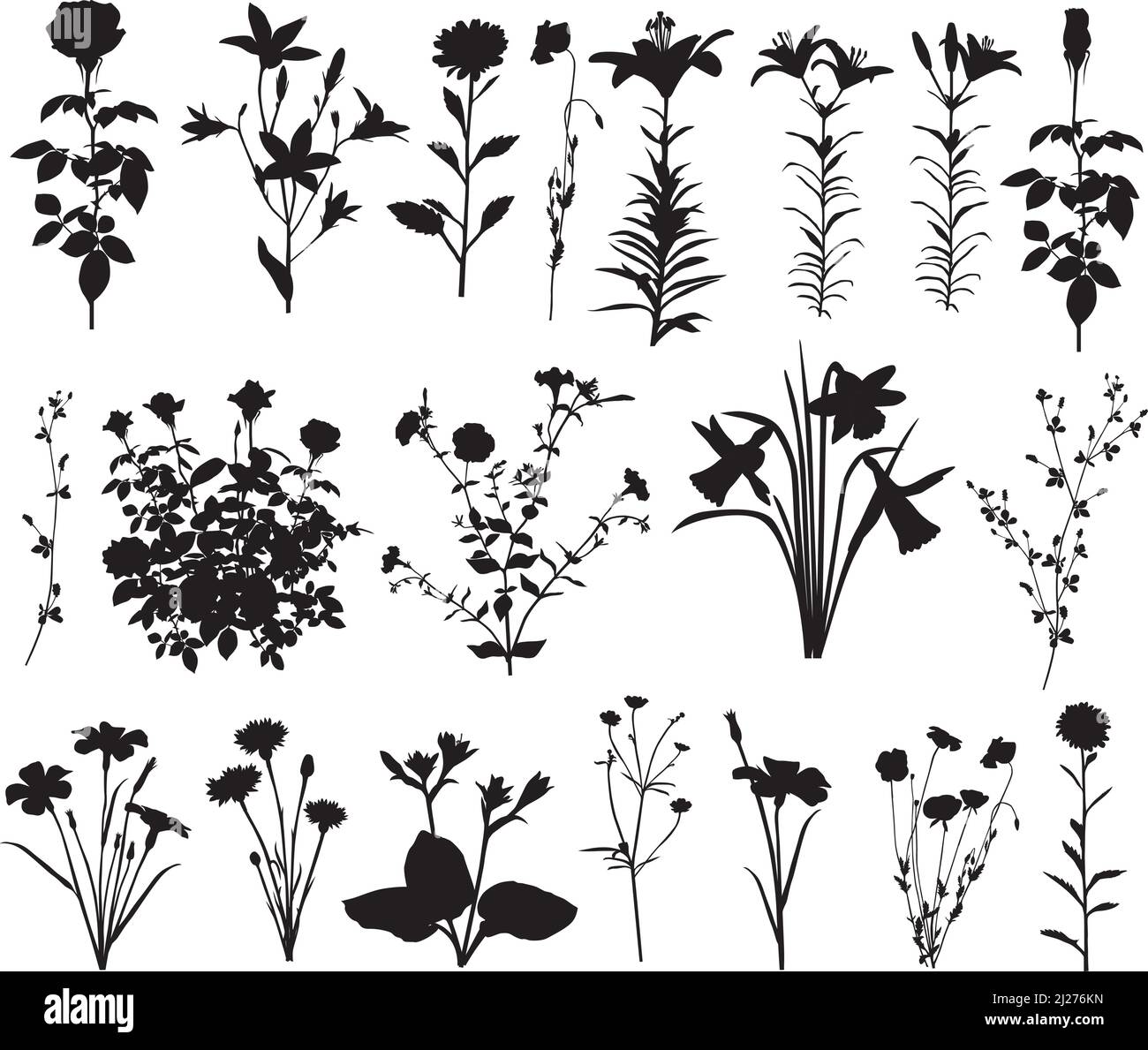 Collection de silhouettes de différentes espèces de fleurs : rose, nénuphars, narcisse, fleur de maïs, bluebell, coquelicot, aster, pétunia, hosta et autres Illustration de Vecteur