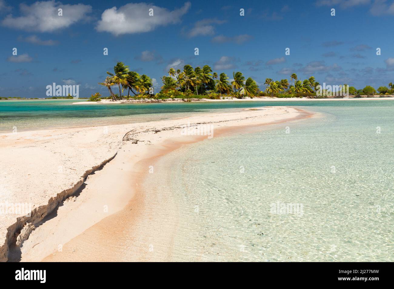 atolls bordés de palmiers dans l'archipel de Tuamotu Banque D'Images