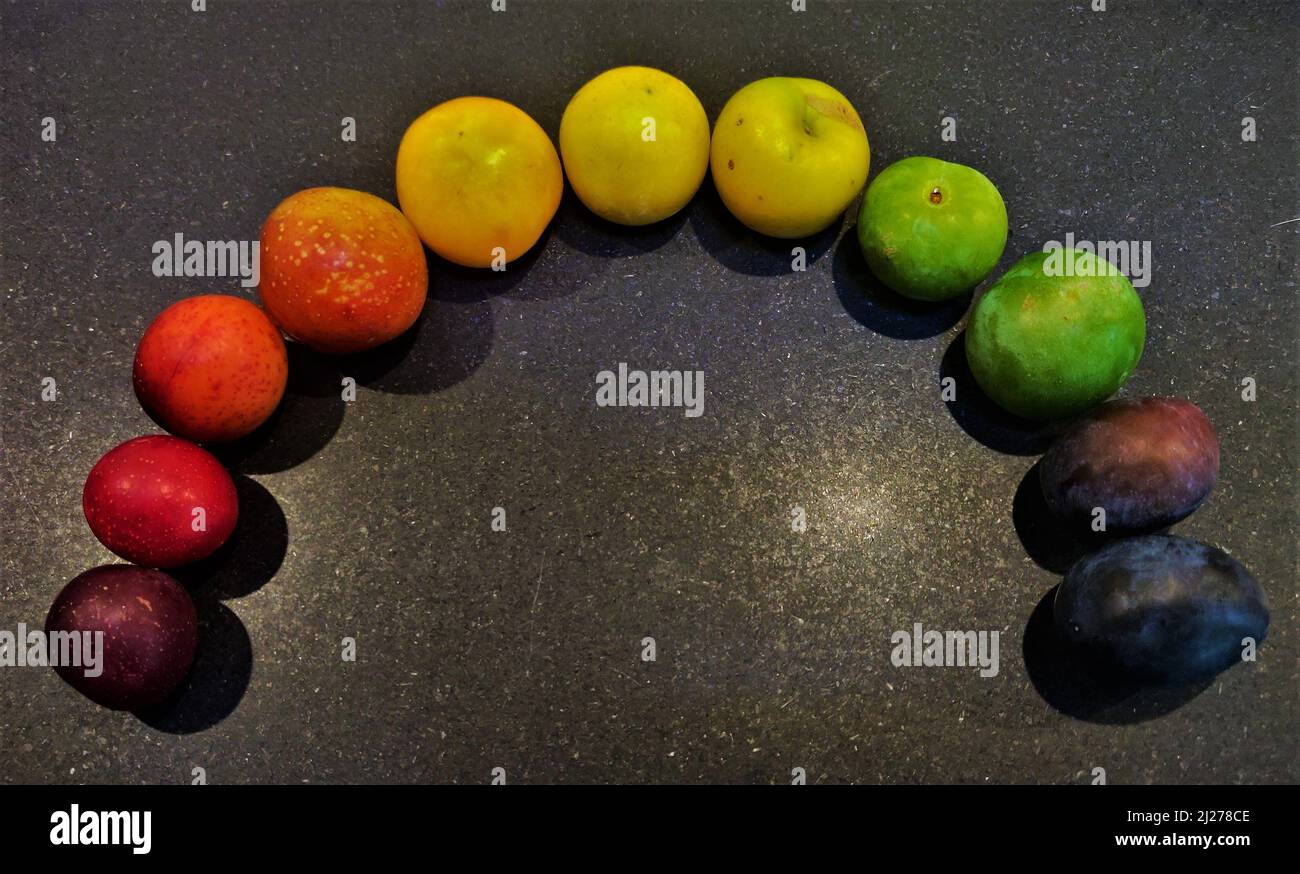 Plusieurs prunes de couleur disposées dans un ordre arc-en-ciel Banque D'Images