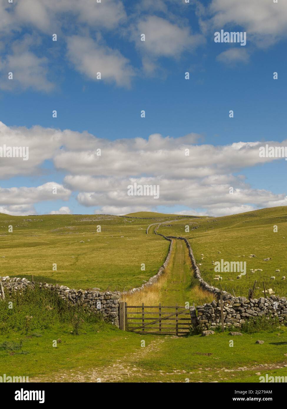 Mastiles Lane près de Bordley dans les Yorkshire Dales Banque D'Images
