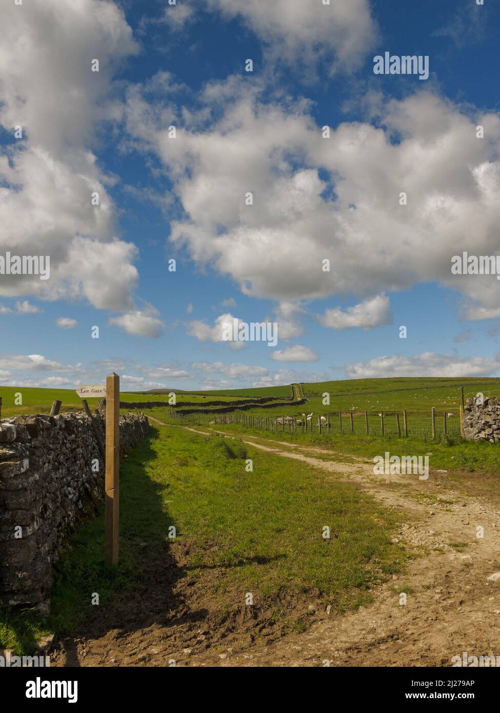 Mastiles Lane près de Bordley dans les Yorkshire Dales Banque D'Images