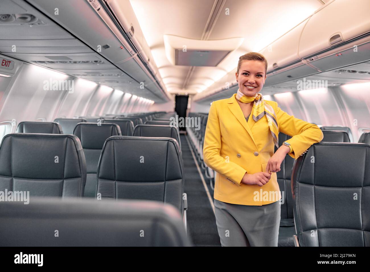 Hôtesse gaie debout dans le salon de passagers d'avion Banque D'Images