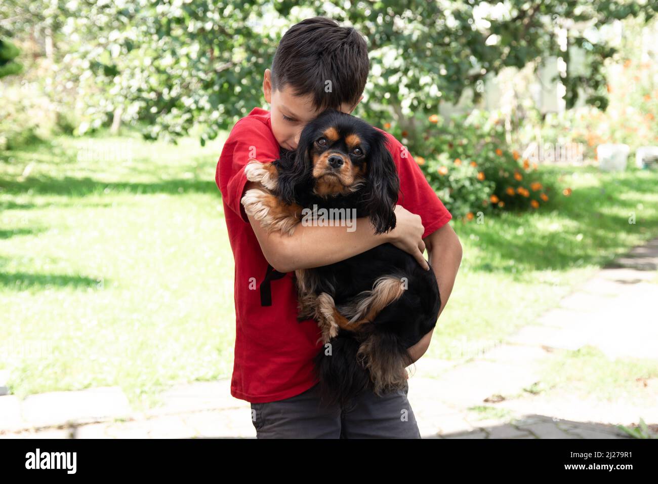 Jeune cache visage en fourrure enfant en T-shirt rouge tenant, embrassant chien de chiot le roi Charles Spaniel. Été, compagnon, ami Banque D'Images