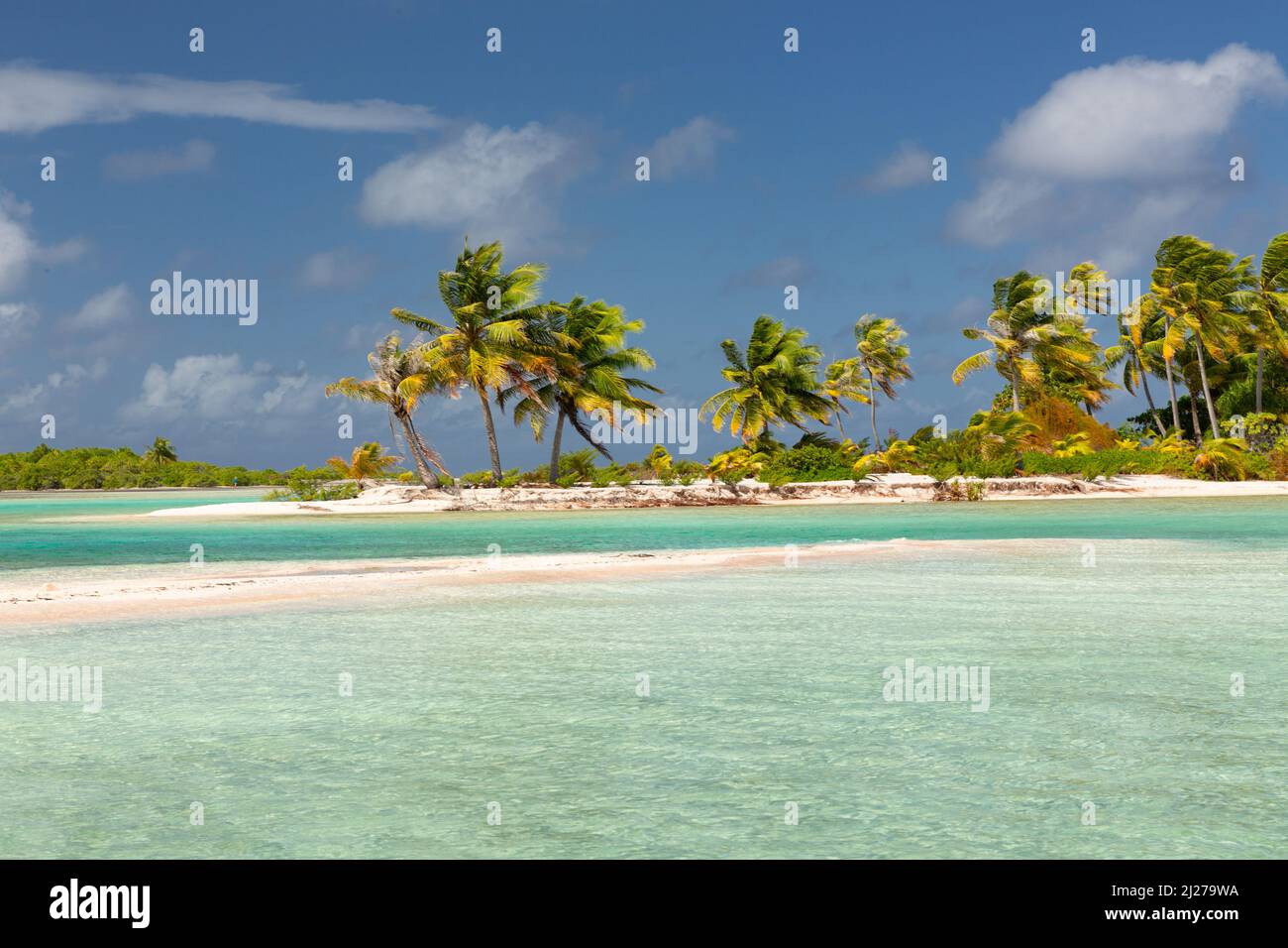 atolls bordés de palmiers dans l'archipel de Tuamotu Banque D'Images