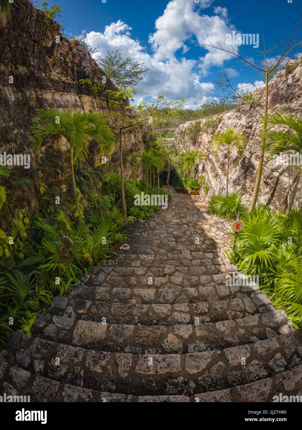 Grotte. Entrée à la jungle par des escaliers en pierre entre les rochers. Banque D'Images