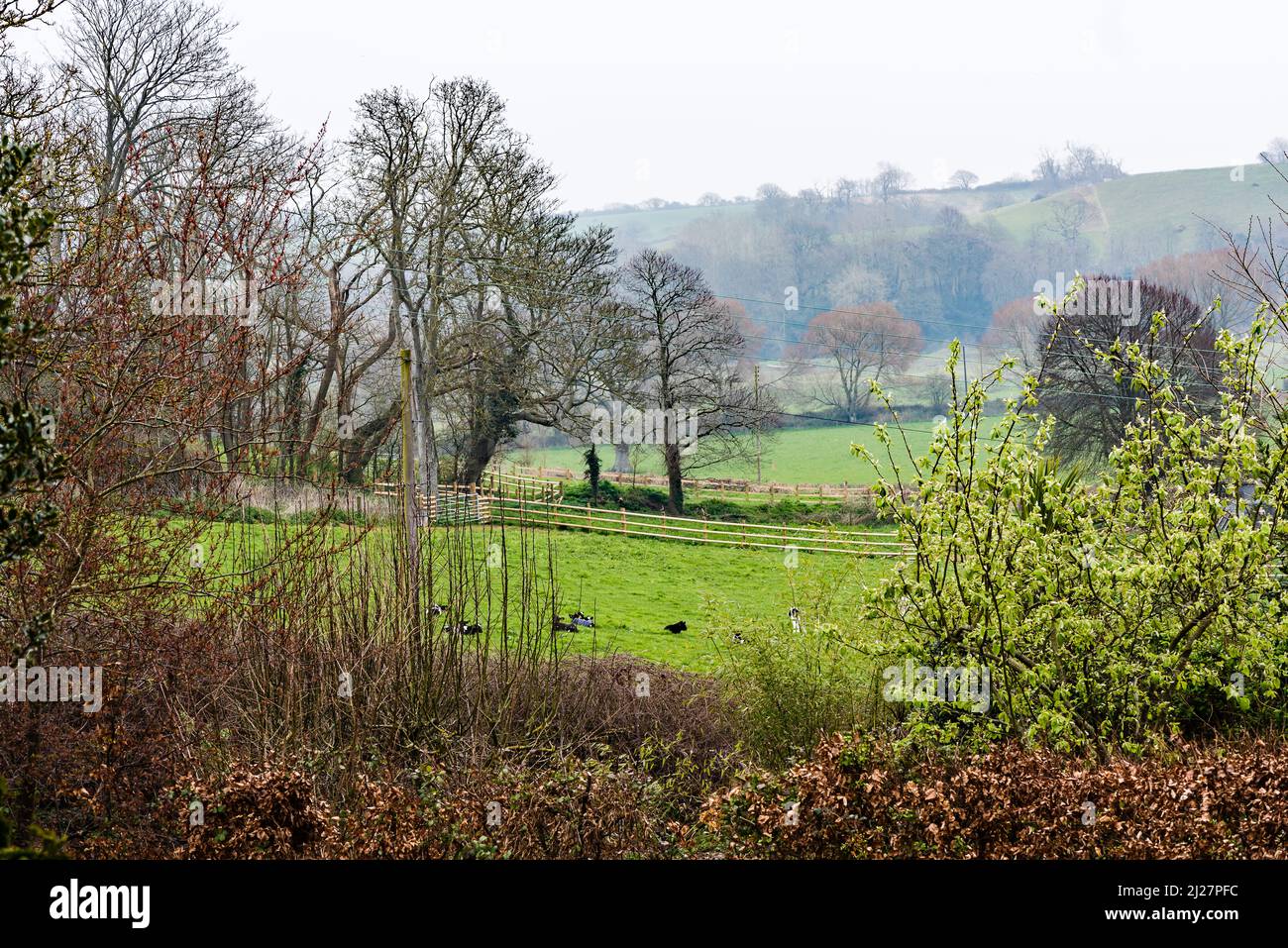 Un jour de printemps brumeux dans la campagne anglaise, surplombant la vallée de l'Otter. Banque D'Images
