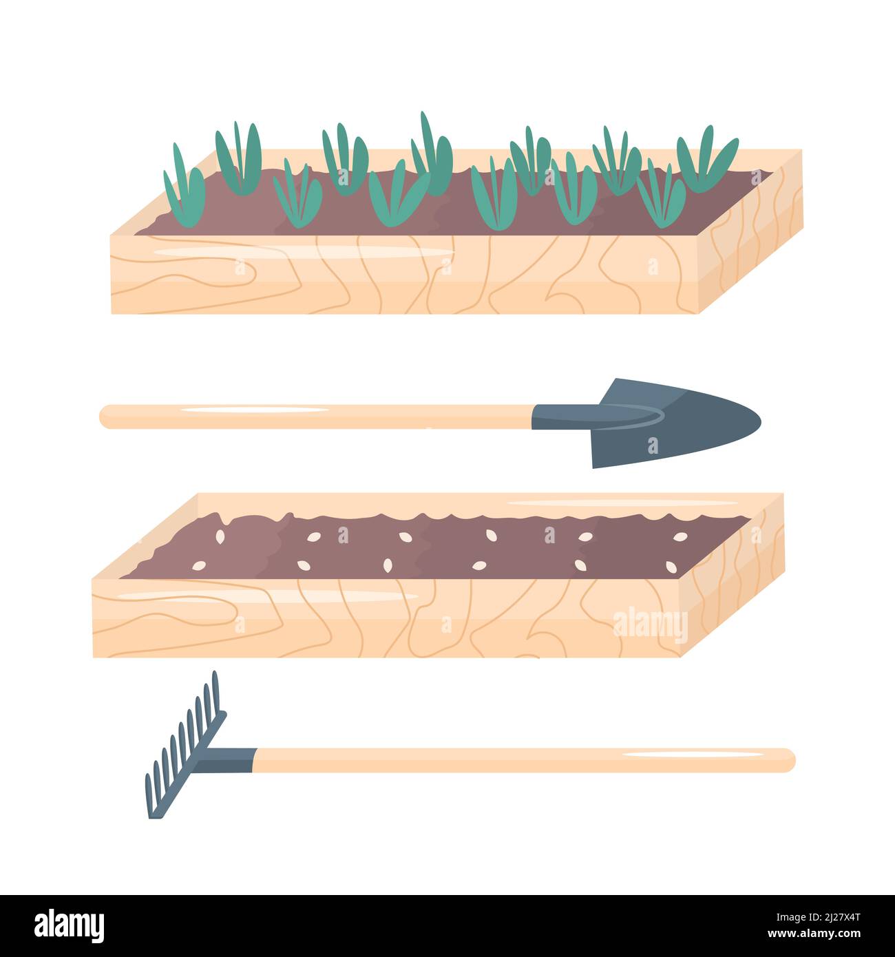 Plantes et graines germées dans les lits de jardin. Isolé sur fond blanc. Illustration d'un jardin de printemps plat Illustration de Vecteur