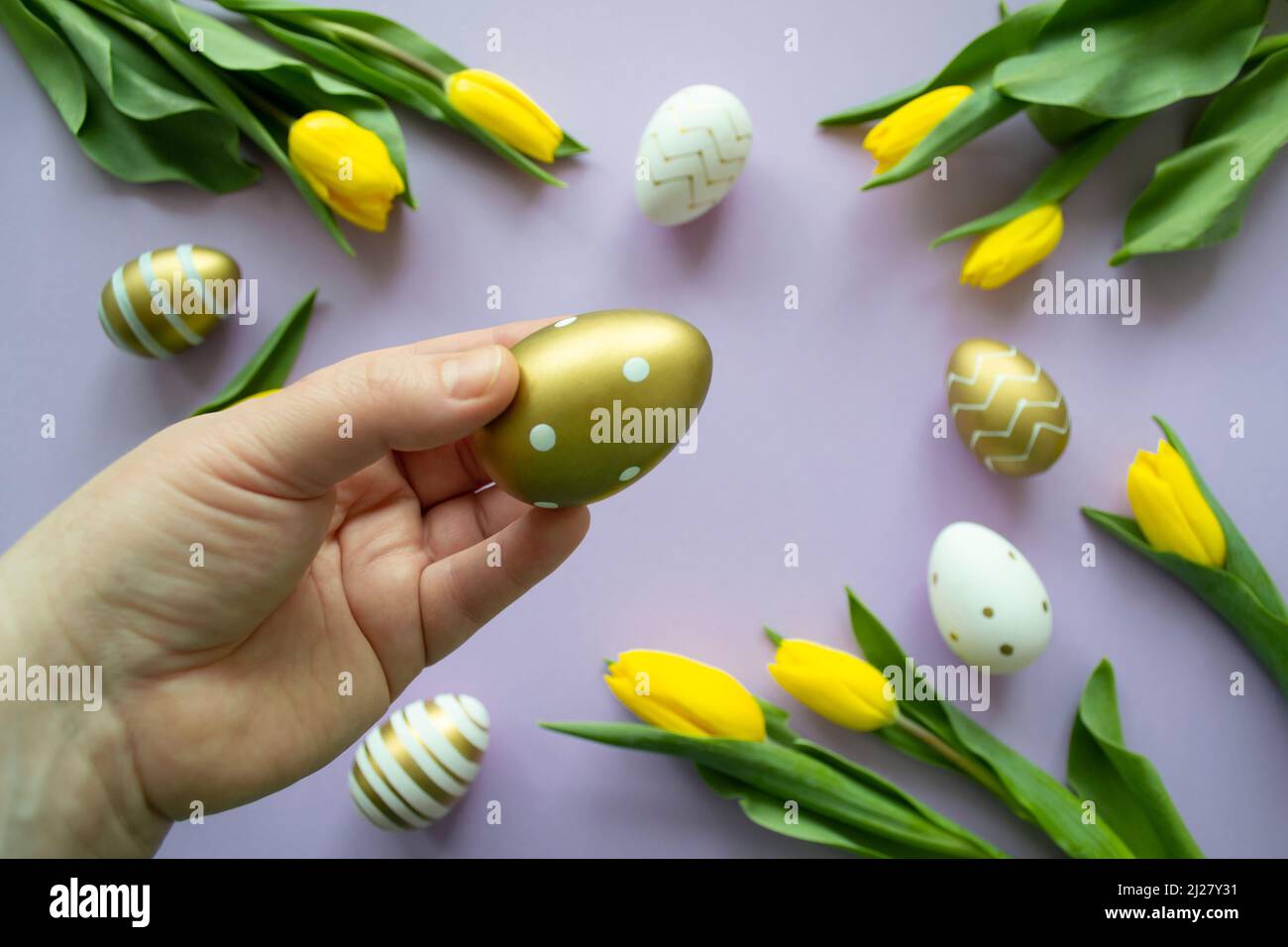Vœux de Pâques : gros plan tient main oeuf doré, tulipes jaunes, oeufs blancs peints fond lilas. Banque D'Images