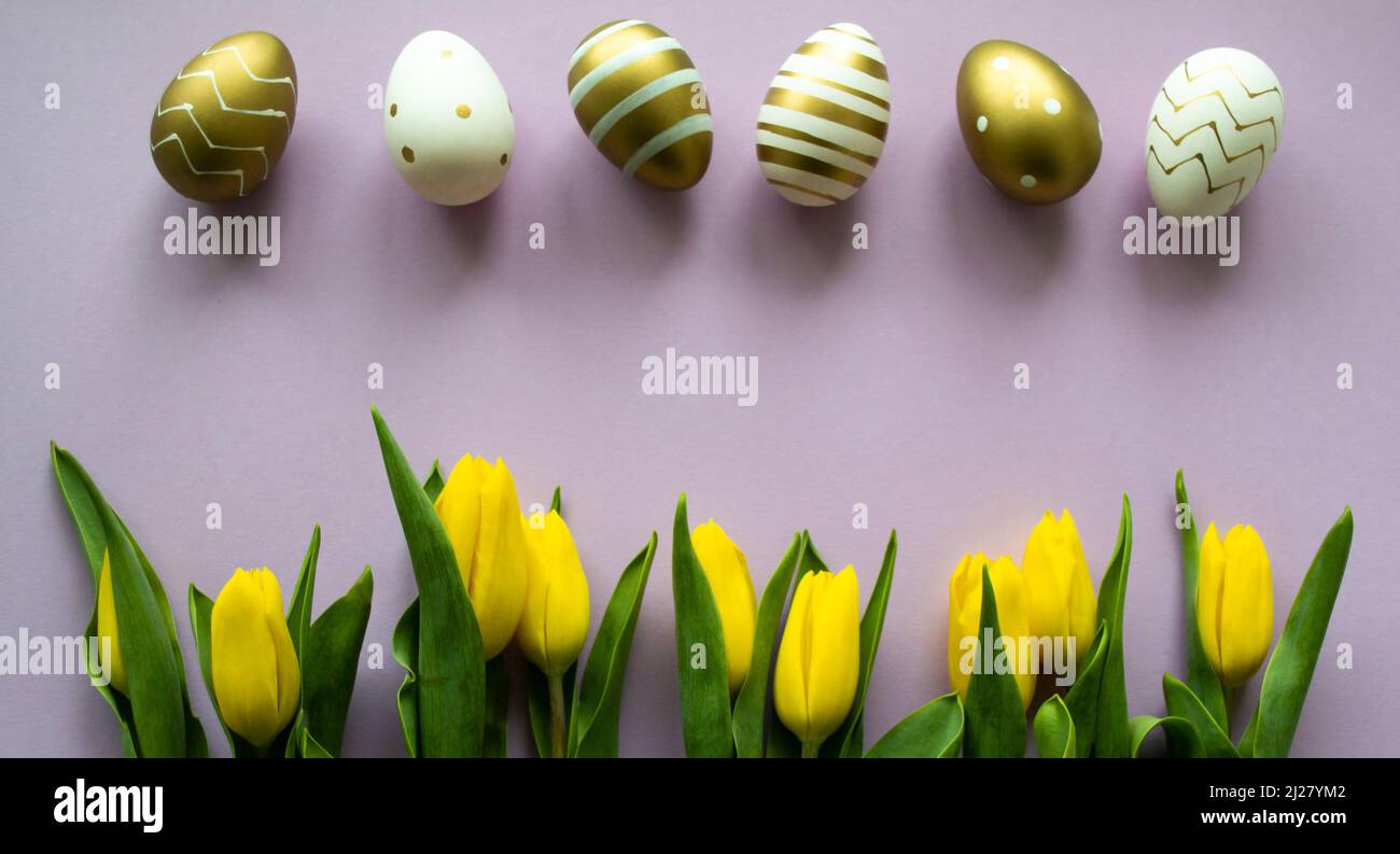 Bannière avec oeufs de Pâques d'or, blanc avec un motif et tulipes jaunes sur fond violet. Copier l'espace. Banque D'Images