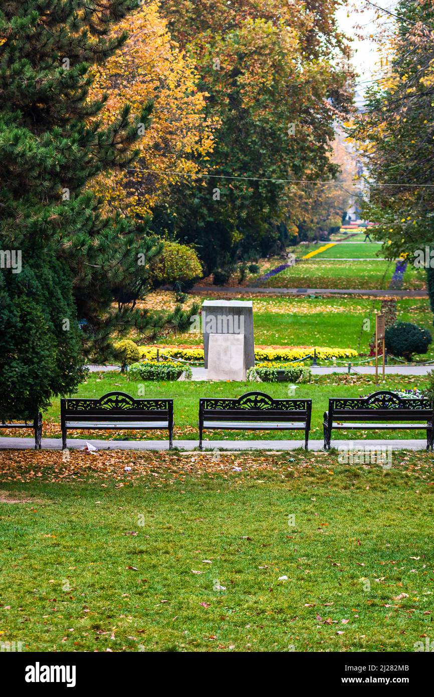 Automne dans un parc.Paysage d'automne avec des feuilles brunes Banque D'Images