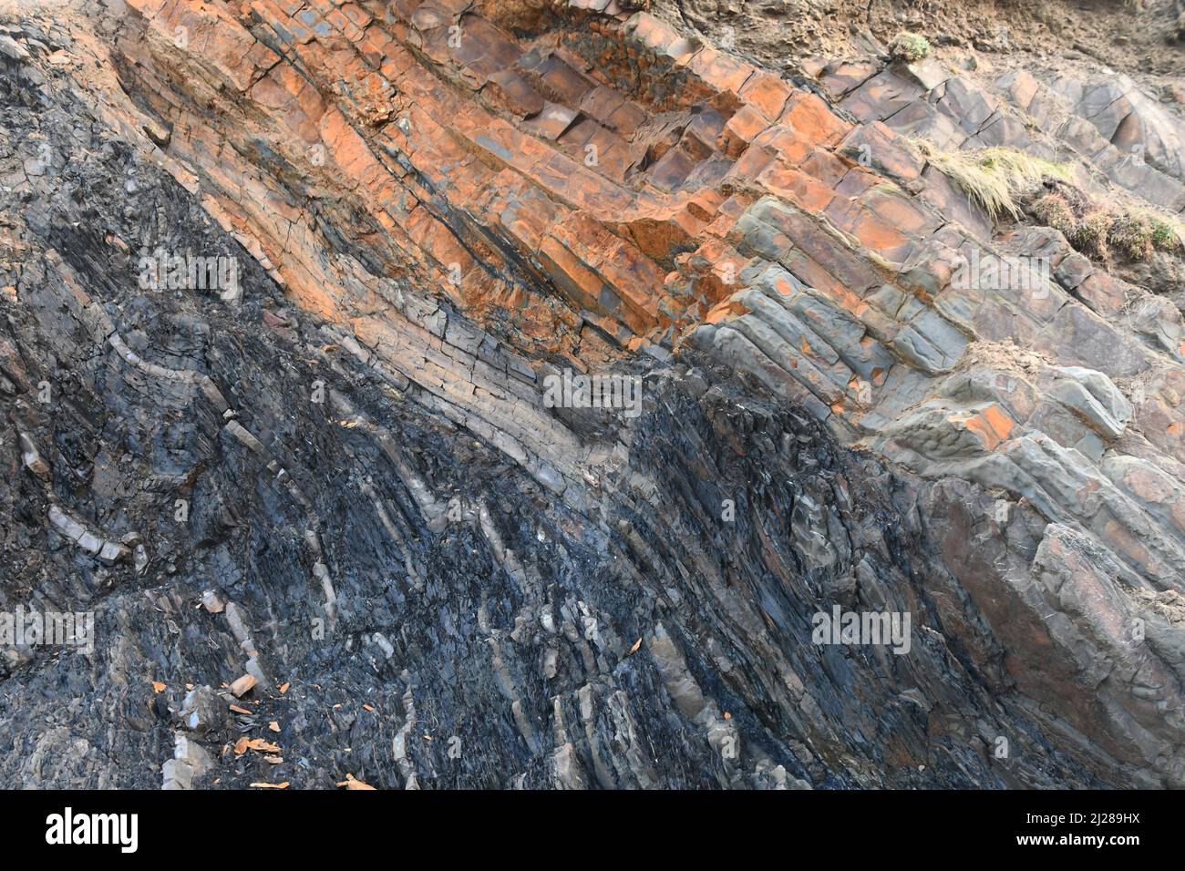 Baie de Sandimouth avec des strates de grès et de schistes foncés déformés et robustes trempés définissant une syncline.sur la côte atlantique du nord de Cornwall. Angleterre. Banque D'Images