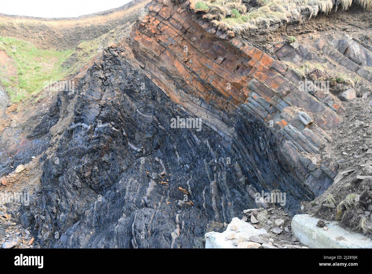 Baie de Sandimouth avec des strates de grès et de schistes foncés déformés et robustes trempés définissant une syncline.sur la côte atlantique du nord de Cornwall. Angleterre. Banque D'Images