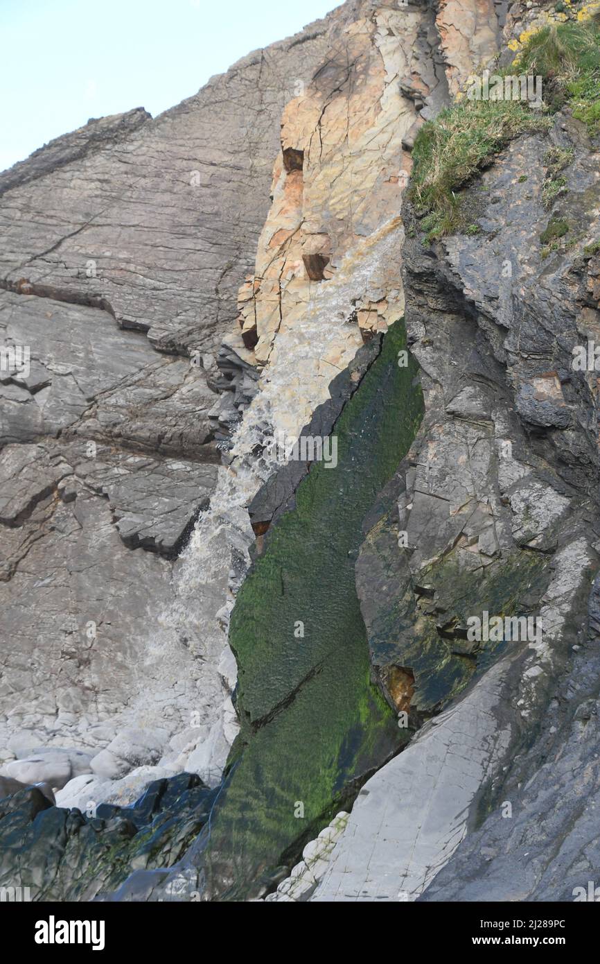 Une chute d'eau cascade sur les rochers de la baie de Sandomouth devant les strates verticales de grès dont certaines sont de couleur verte avec les algues.sur l'ATL Banque D'Images