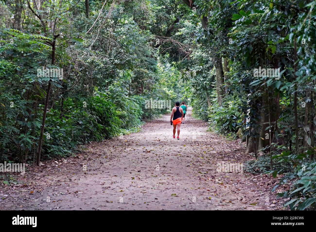 Les personnes qui s'exécutent sur la piste au parc public 'Bosque da Freguesia' dans le quartier de Jacarepagua Banque D'Images