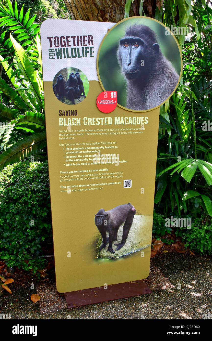 Panneau d'information, les jardins zoologiques de Singapour ou le zoo de Mandai, Singapour, Asie du Sud-est Banque D'Images