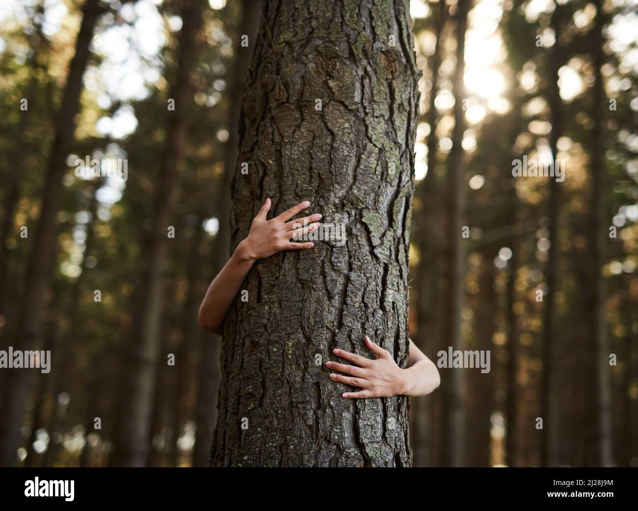 Les arbres méritent aussi l'amour. Photo d'une jeune femme non identifiable embrassant un arbre dans la forêt. Banque D'Images