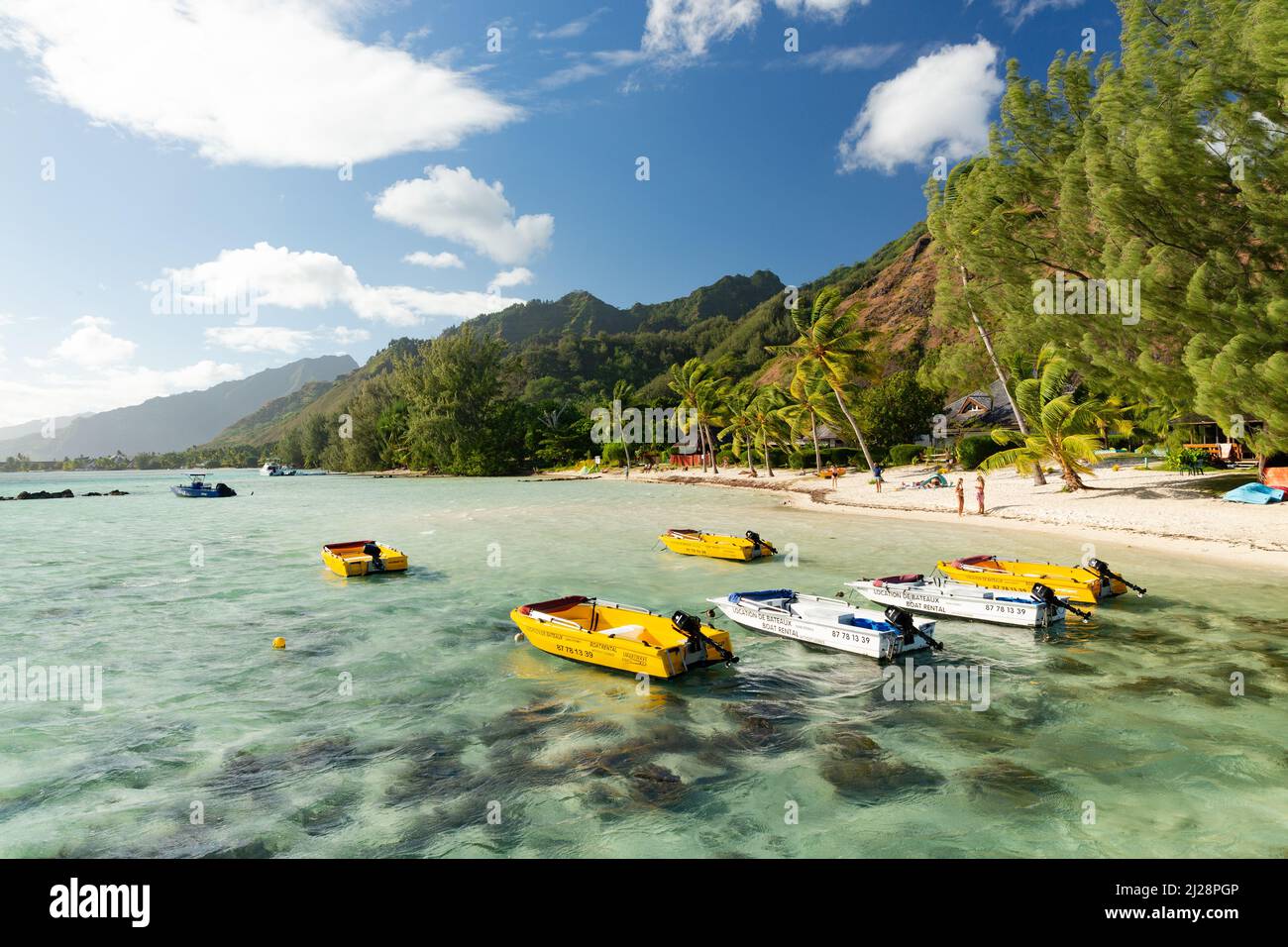 Bateaux à louer à Tiahura, Moorea, Polynésie française Banque D'Images