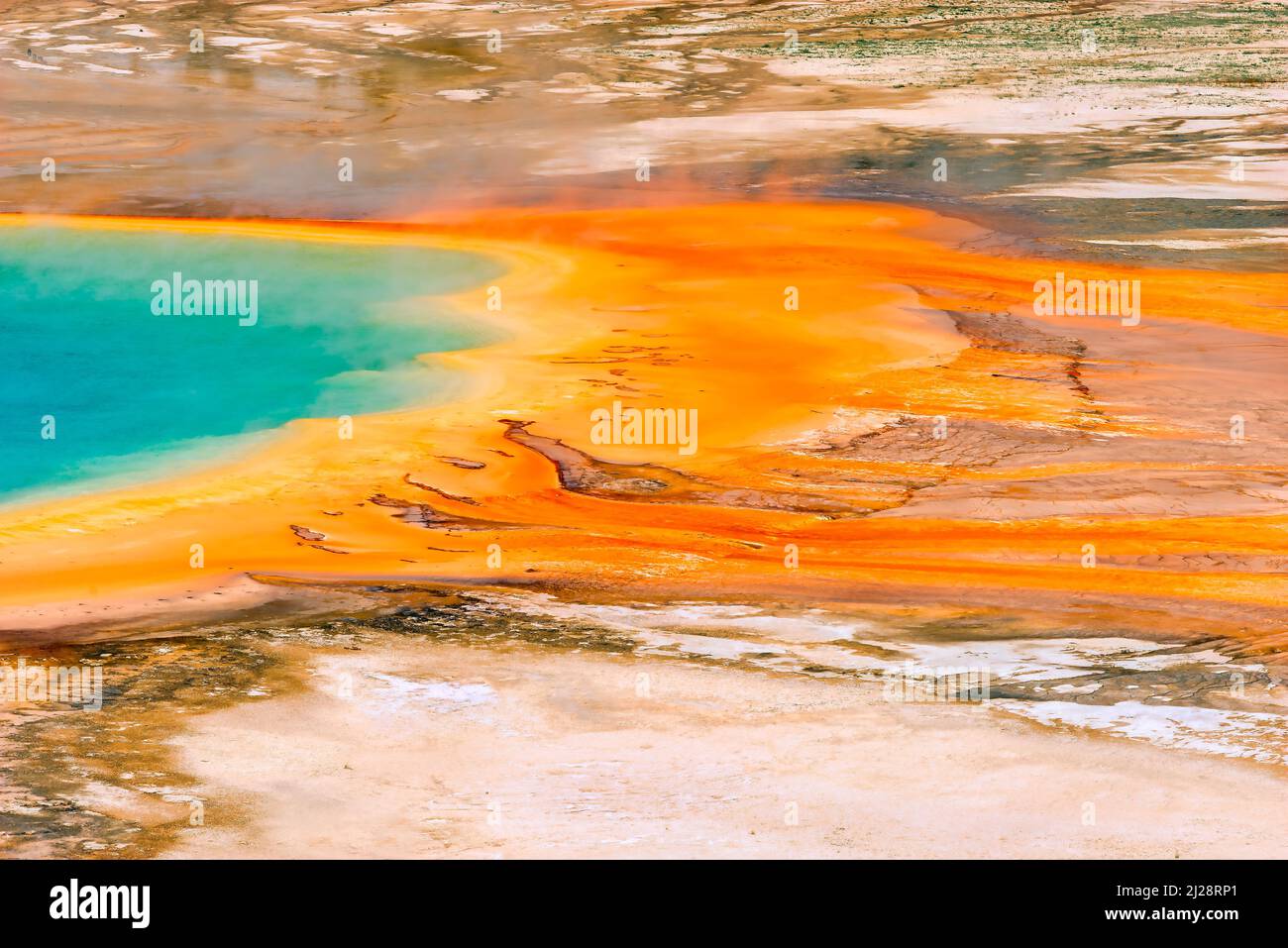 Grand Prismatic vue rapprochée avec tapis de bactéries orange, parc national de Yellowstone Banque D'Images