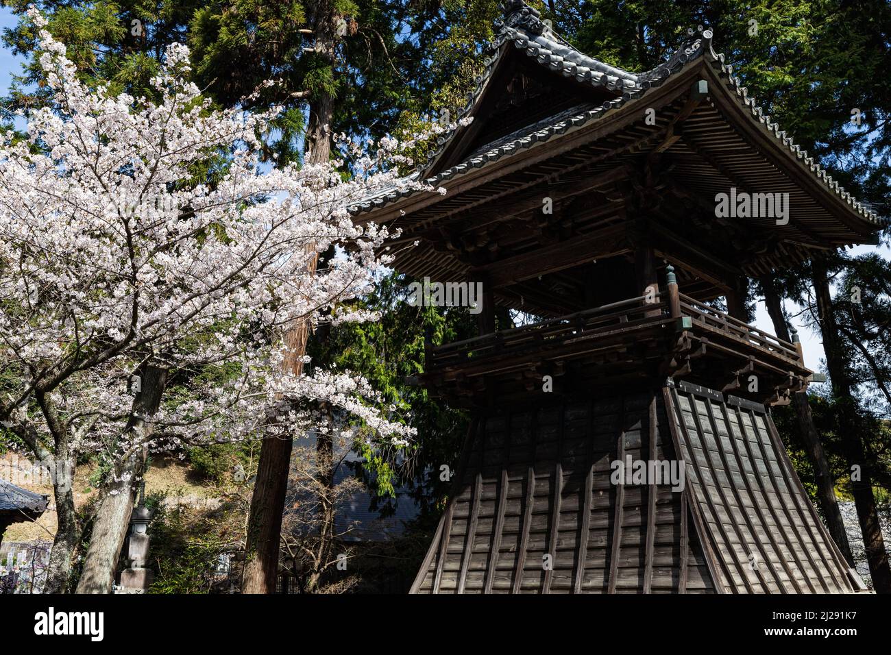 Honkoji est un vieux temple construit dans la période Nanbokucho, et le jardin de style Enshu, qui aurait été construit par Kobori Enshu à la fin de Banque D'Images