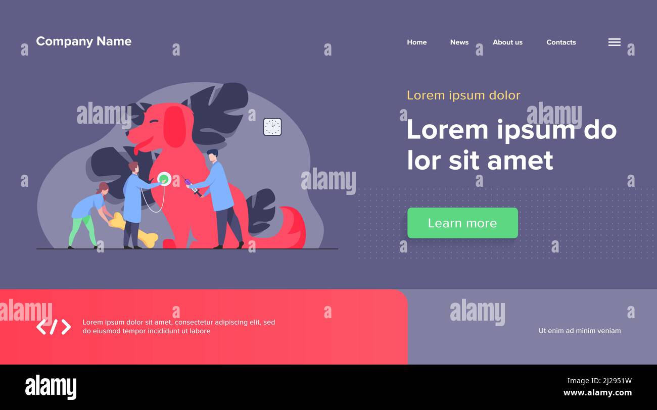 Minuscule médecin chien de soin dans le bureau vétérinaire illustration vectorielle plate. Clinique ou hôpital moderne. Animaux, animaux et service vétérinaire Illustration de Vecteur