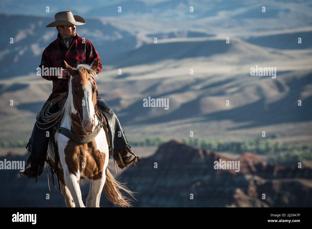 Beau cow-boy sur un cheval de peinture américain. Cow-boy classique. Bon cowboy. Cowboy en tissu écossais. Wyoming, États-Unis Banque D'Images