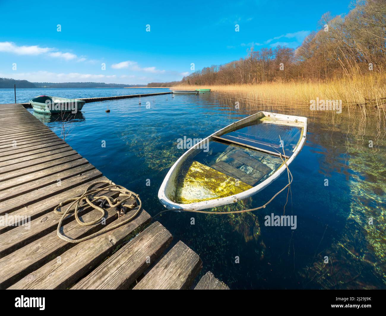 Bateau descendant à Schaalsee, jetée en bois dans les roseaux avec un bateau à ramer plein d'eau, Réserve de biosphère de Schaalsee, Mecklenburg-Poméranie occidentale Banque D'Images