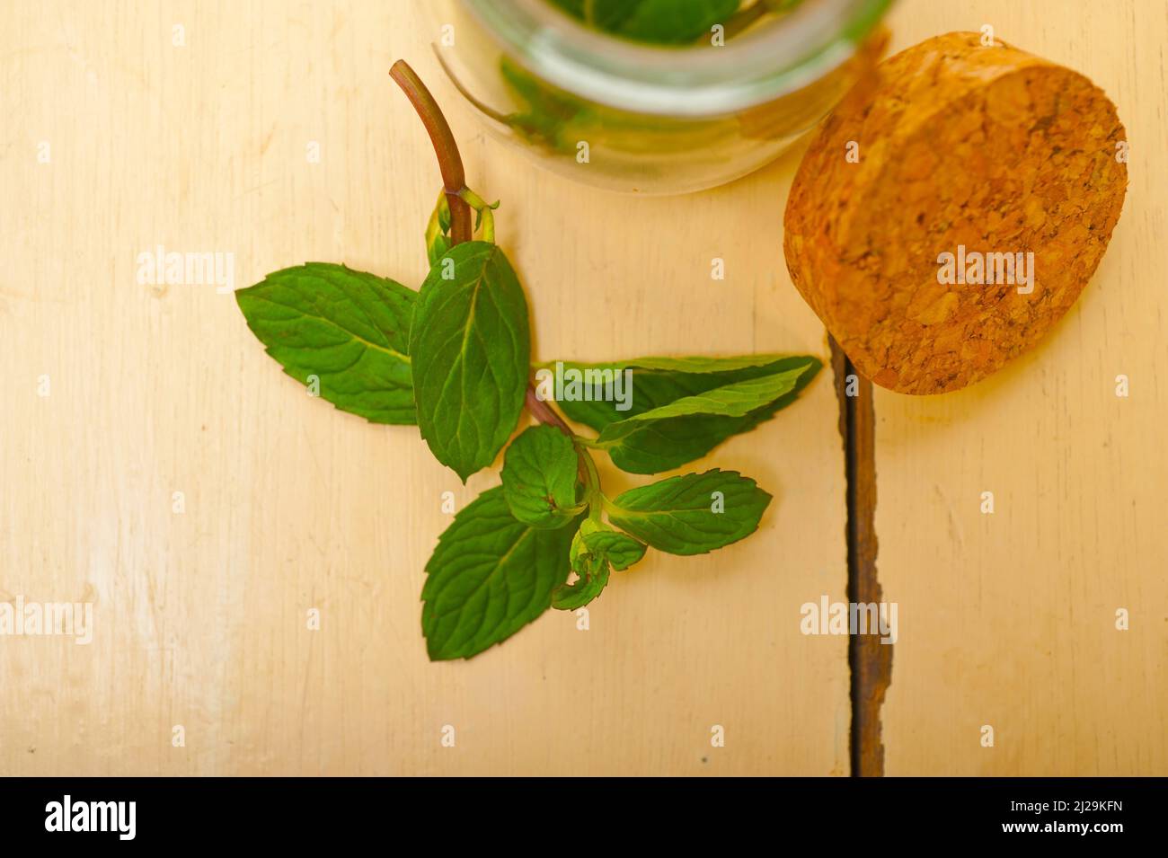 Feuilles de menthe fraîche sur une jarrete en verre une table rustique en bois blanc Banque D'Images