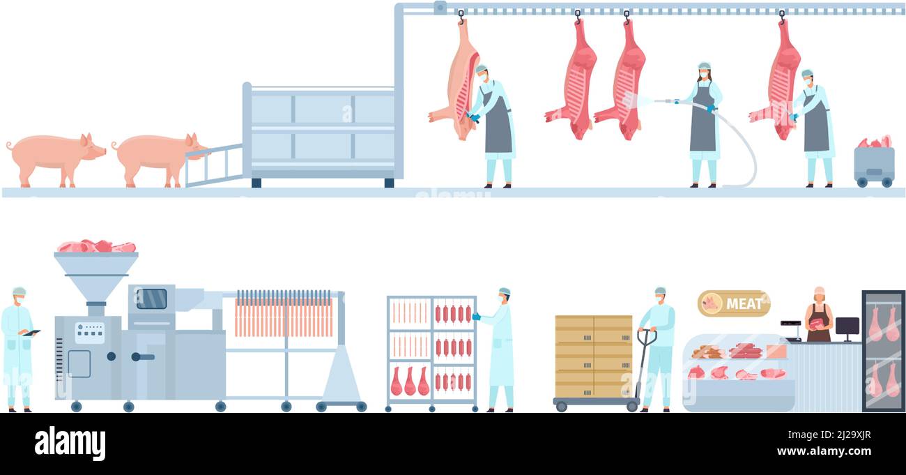 Convoyeur de production de viande de porc du porc de ferme à la boucherie. Étape du processus de fabrication de la boucherie. Infographie sur les vecteurs de l'industrie des produits de saucisse Illustration de Vecteur