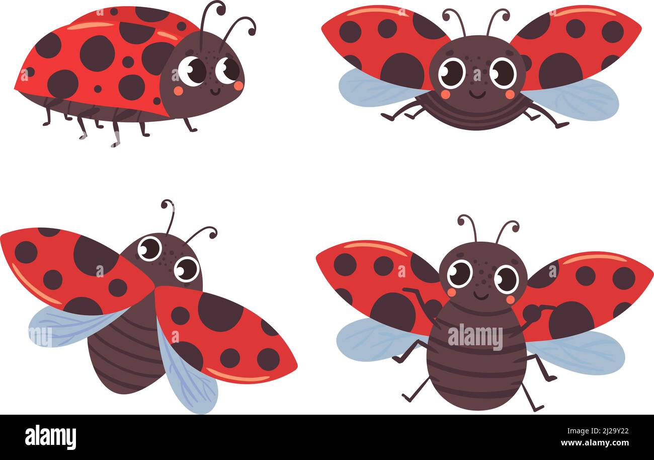 Dessin animé coccinelle insectes avec ailes rouges noires Illustration de Vecteur