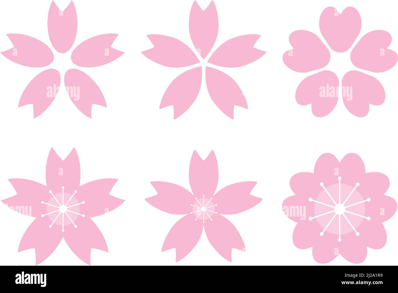 Ensemble de fleurs de cerisier. Pétales du printemps. Vecteur modifiable. Illustration de Vecteur