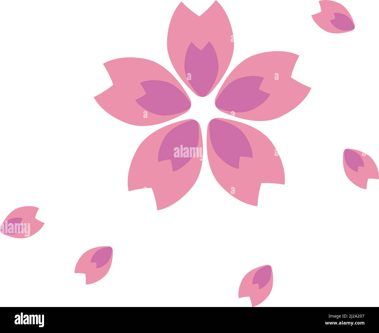 Pétales de cerise épars. La saison du printemps. Vecteur modifiable. Illustration de Vecteur