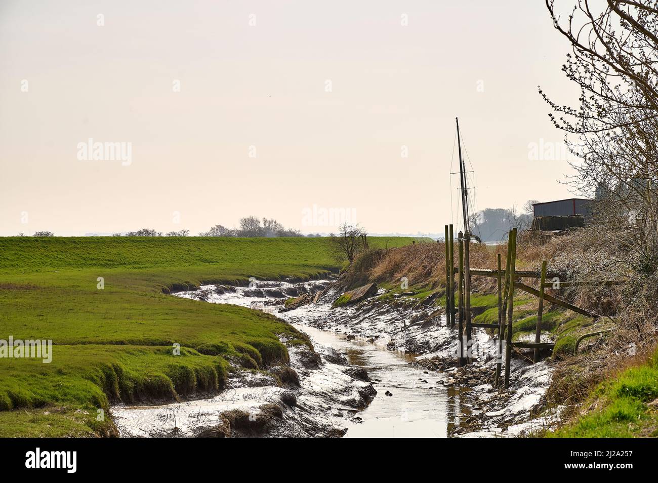 Petit ruisseau boueux à marée basse Banque D'Images