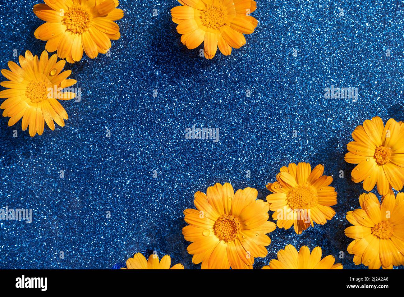 Arrière-plan lumineux et créatif pour l'été. Fleurs orange naturelles et eau ondulée sur fond bleu brillant. Vue de dessus Flat lay. Banque D'Images